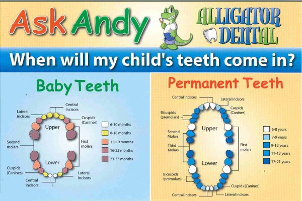 Pediatric Dentistry in Texas, Cibolo, Floresville, San Marcos, Seguin. Alligator Dental Pediatric Dentist DR. DOROTHY CAUSEY (DR. DORI), DR. AL BURNS, DR. ISRAEL SANTIL, DR. ANAS HAKIMEH, DR. JOHNATHAN AMES (DR. J)